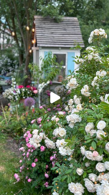 Little Garden, A Video, Love It, Quick Saves