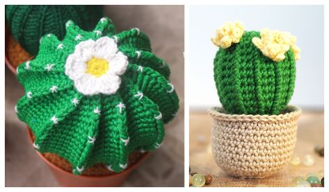 Amigurumi Potted Cactus Amigurumi Free Patterns Cactus Amigurumi Free Pattern, Mini Cactus Crochet Free Pattern, Crochet Cactus Free Pattern, Barrel Cactus Crochet Pattern Free, Crochet Mood Cactus, Crochet Cactus In Pot Free Pattern, Crochet Barrel Cactus, Crochet Cactus Pin Cushion, Bunny Ear Cactus