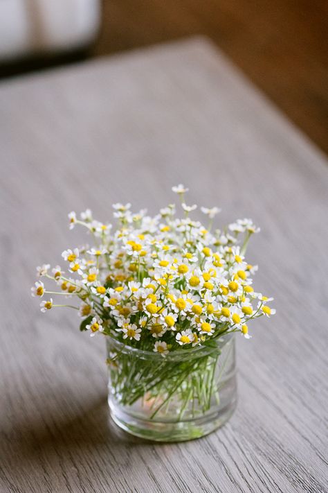 Feverfew Centerpiece, Chamomile Centerpiece, Chamomile Decoration, Colorful Wildflower Wedding, Small Centerpieces, Wildflower Wedding, Beautiful Wedding Dresses, Container House, Bud Vases