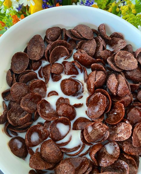 Although I loooove my smoothie bowls and oatmeals, sometimes a simple bowl of chocolate crisps is what I crave 🤎🤤 Sooo, I want it, I got it 😏  ⠀⠀⠀⠀⠀⠀⠀⠀⠀ What are your favorite breakfast cereals? 😊️ ⠀⠀⠀⠀⠀⠀⠀⠀⠀ #nutrirout ---------------------------------------------------------------------------- #smoothie #aesthetic #healthybreakfast #breakfastidea #getfit #vegan #veganfood #veganweighloss #veganhealthy #vegandeutschland #veganhannover #nutritionist #nutritionisthannover #cereals #chocolate # Smoothie Aesthetic, Chocolate Cereal, Smoothie Bowls, Homemade Snacks, I Got It, Morning Food, Satisfying Food, Food Obsession, Cafe Food