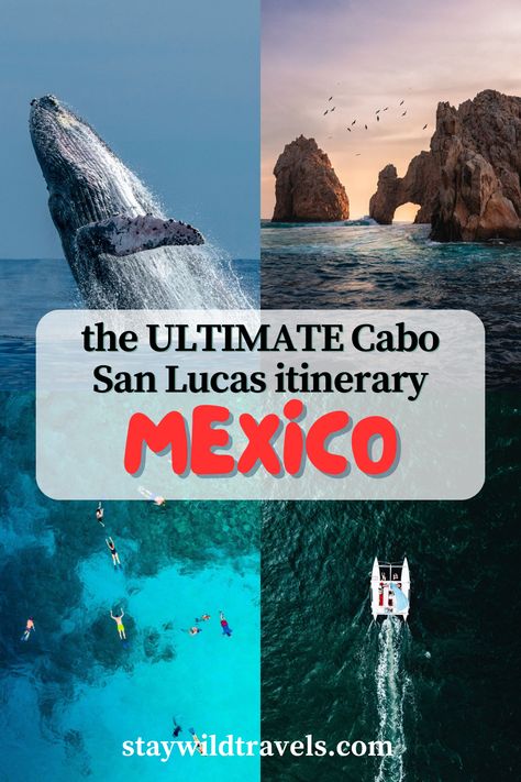 Discover this Cabo San Lucas itinerary with the best things to do, place to eat and drink + hotel recommendations! Cabo Itinerary, Cabo San Lucas Travel Guide, Living In Cabo San Lucas, Best Restaurants In Cabo San Lucas, Cabo Restaurants With A View, Explore Mexico, San Jose Del Cabo, Baja California Sur, Eat And Drink