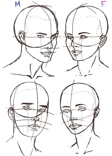 . Anatomy Proportions, Human Face Drawing, Female Face Drawing, Realistic Portrait, Drawing Tutorial Face, Seo Blog, Human Anatomy Drawing, Face Drawing Reference, Drawing Heads