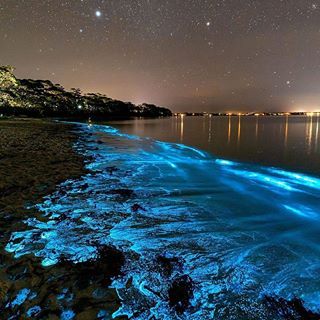 Sirmione, Italy 🇮🇹 Photo by @stefanotermanini #TourThePlanet 🌎🌍🌏 Bioluminescence Water, Bioluminescent Algae, Bioluminescent Bay, Ocean At Night, Sea Of Stars, Water Aesthetic, Beach At Night, Fantasy Places, Dream Travel Destinations