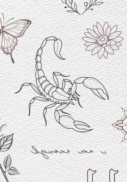 Scorpio Flash Tattoo, Linework Scorpion Tattoo, Fineline Scorpion Tattoo, Scorpion Tattoo Fine Line, Scorpio Tattoo Stencil, Simple Scorpion Tattoo, Red Scorpion Tattoo, Scorpion Drawing, Scorpion Tattoo Design