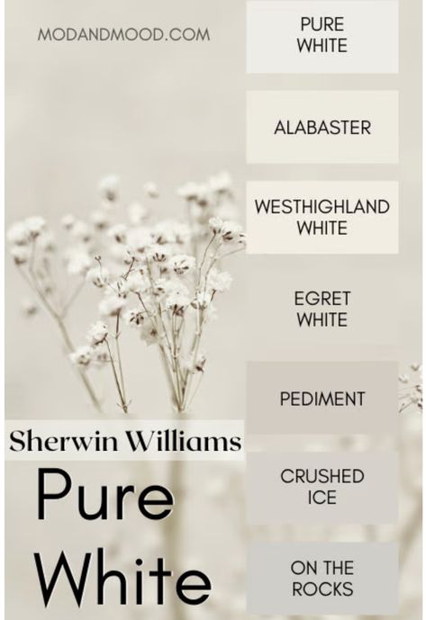 Pediment Sherwin Williams, Sherwin Williams Pure White, Sherman Williams Paint, Pure White Sherwin Williams, Perfect White Paint, Painted Rooms, Home Wall Colour, White Paint Color, Sherwin Williams White