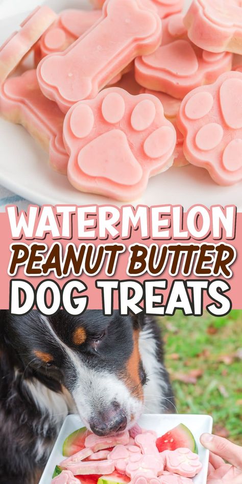 Dog Treats Homemade Watermelon, Watermelon Yogurt Dog Treats, Dog Cold Treats, Watermelon Popsicles For Dogs, Cantaloupe Dog Treats, Cold Treats For Dogs, Dog Days Of Summer Crafts, Fourth Of July Dog Treats, Good Dog Food Recipes