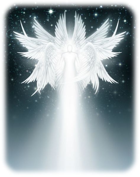 Can you imagine flying and being guided by two Seraphim? It's amazing and very enlightening, this is my wonderful experience... Archangels Names, Seraphim Angels, Seraph Angel, Real Angels, Angel Artwork, Angel Warrior, Oracle Reading, Ange Demon, Angel Pictures