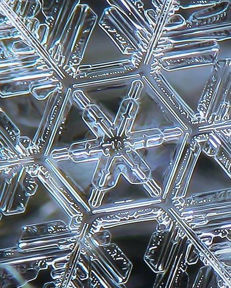 Real snowflake macro photo Snowflake Macro Photography, Intricate Snowflake Pattern, Snowflake Geometry, Niti Shah, Abstract Snowflake, Drawn Mask, Crystal Winter, 5th Element, Snowflakes Real