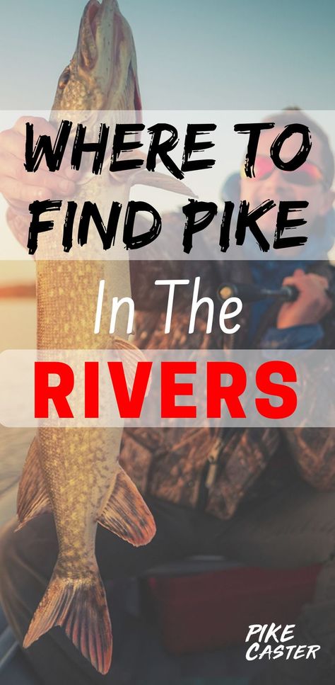 Pike Fishing Tips, Pike Fish, Northern Pike, Trout Fishing Tips, Pike Flies, Fly Fishing Tips, Big River, Pike Fishing, Fishing Diy