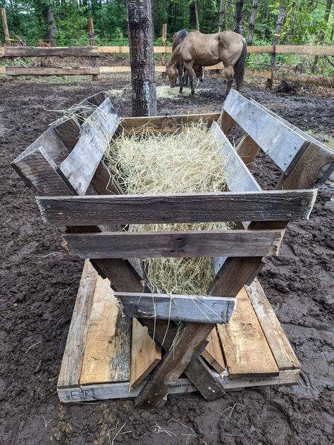 Wooden pallets constructed in a V shape to hold hay. Pallet Hay Feeder Goats, Round Bale Hay Feeder Diy, Horse Hay Feeder Diy, Goat Feeders Ideas Hay, Pallet Hay Feeder, Cow Stanchion, Round Bale Hay Feeder, Diy Hay Feeder, Cow Shed Design