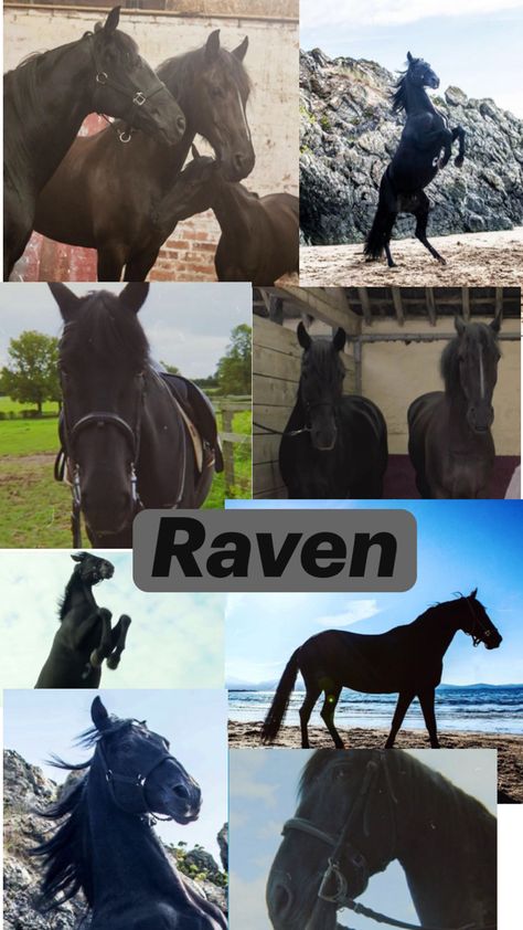 Free Rein Tv Show, Free Rain, Horsey Life, Tile Shower Ideas Farmhouse, Shower Ideas Farmhouse, Horse Riding Quotes, Farmhouse Tile Shower Ideas, Farmhouse Tile Shower, Horse Movies