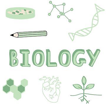 "Light Green Biology Subject Pack" Sticker for Sale by The-Goods | Redbubble Cute Biology Stickers, Biology Stickers, Sticker For Notebook, Buy Lights, Biology, Cute Stickers, Subjects, Light Green, Sticker Design