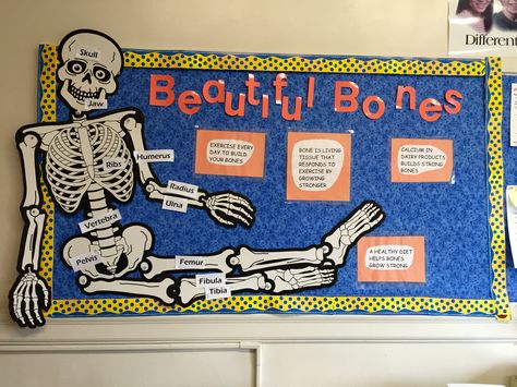 Radiology Bulletin Board Ideas, Anatomy Bulletin Board Ideas, Doctor Office Bulletin Board Ideas, Skeleton Bulletin Board Ideas, Nursing Bulletin Board Ideas, Skeleton Bulletin Board, Nursing Unit Bulletin Board Ideas, School Nurse Door Decoration, Nurse Door Decorations