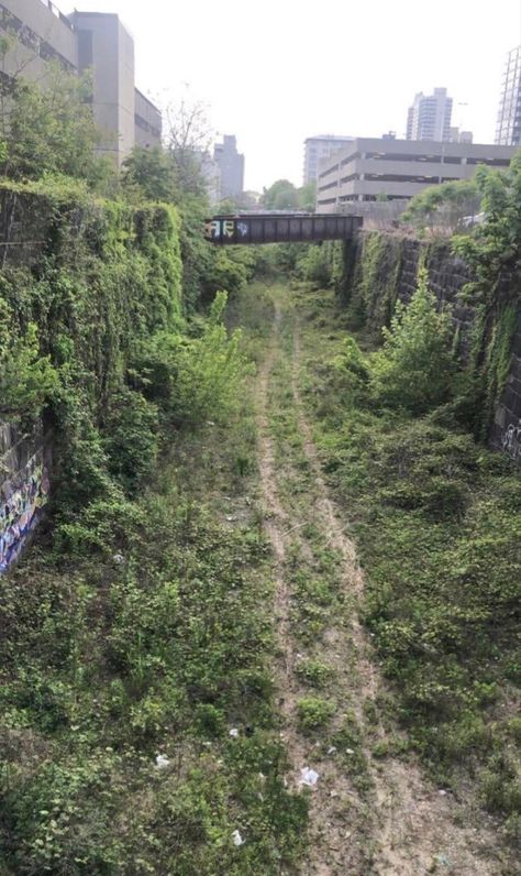 Ruined City Aesthetic, Over Grown City, Abandoned City Aesthetic, Run Down City, Urbex Aesthetic, Overgrown City, Soft Apocalypse, Chernobyl Today, Apocalypse Oc