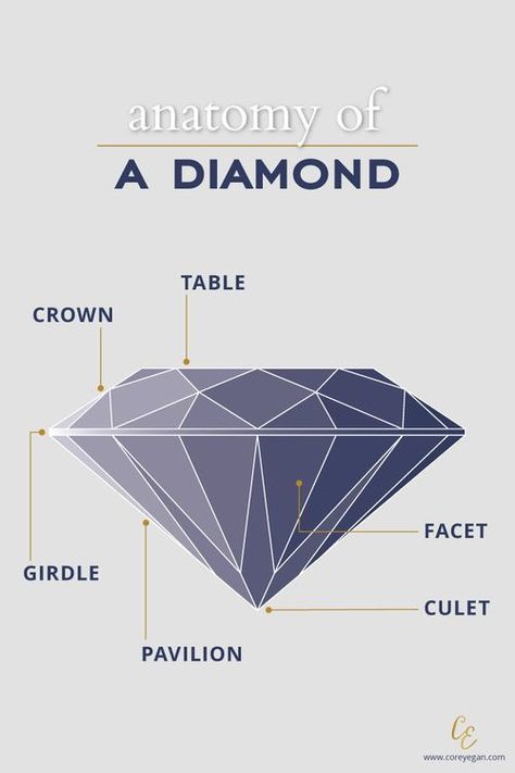 Diamond Infographic, Diamond Chart, Gem Drawing, Gemstones Chart, Jewelry Rendering, Jewelry Knowledge, S Table, Jewellery Design Sketches, Jewelry Education