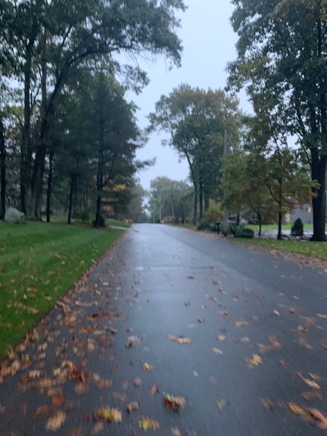 Rainy Neighborhood Aesthetic, Small Rainy Town, Rainy Town Aesthetic, Rainy Neighborhood, Wellington Aesthetic, Hound Aesthetic, Rainy November, Abandon Aesthetic, Current Joys