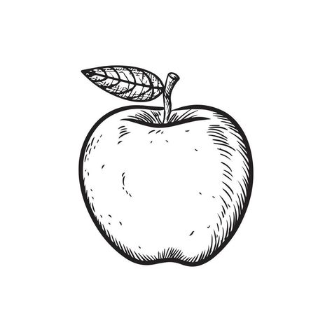 a black and white drawing of an apple Drawing Of An Apple, Apple Silhouette, Apple Vector, White Drawing, Black And White Drawing, Cityscape Photos, Logo Banners, Nature Backgrounds, Heart With Arrow