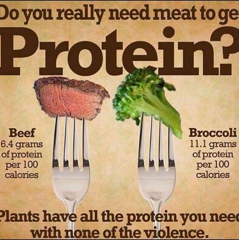 Vegan Facts, Meat Diet, Vegan Quotes, Why Vegan, Motivation Positive, Vegan Inspiration, Zumba Fitness, Vegan Protein, Vegan Foods