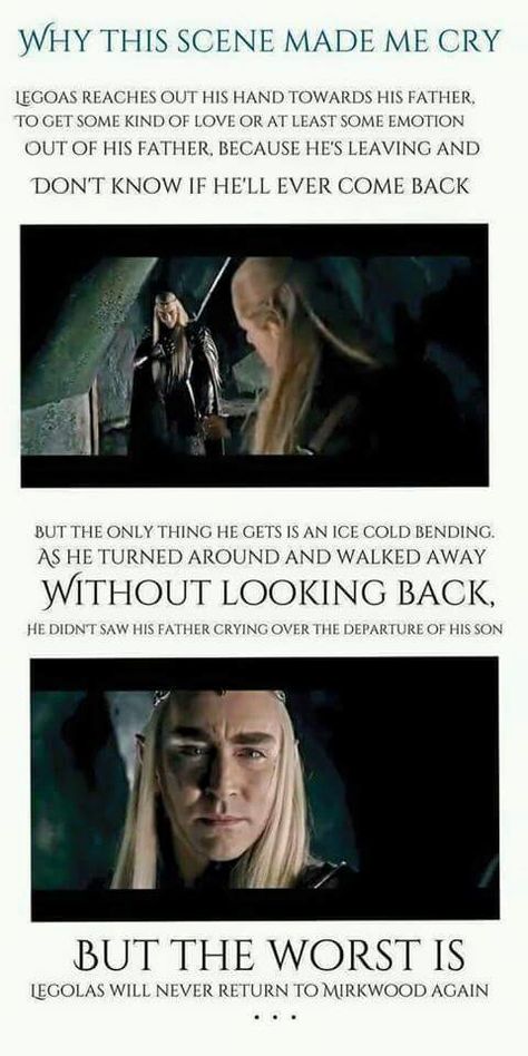 Book Legolas, Lotr Legolas And Gimli, Thranduil Memes Hilarious, Legolas Lotr Vs Hobbit, Lotr Legolas Memes, Legolas And Thranduil, Lotr Funny, The Hobbit Movies, Short Movie