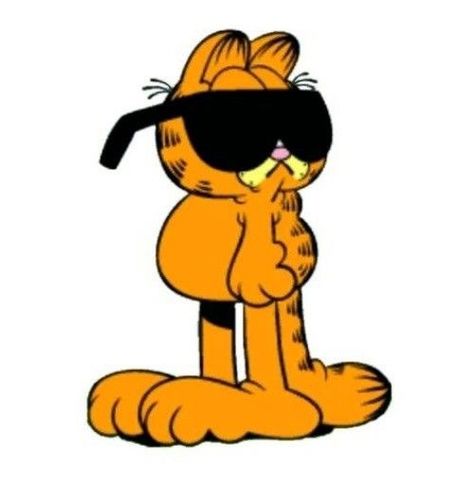 Garfield Images, Garfield The Cat, Garfield And Odie, Orange Cat, Sticker Pack, Sunglasses, Lifestyle, Orange