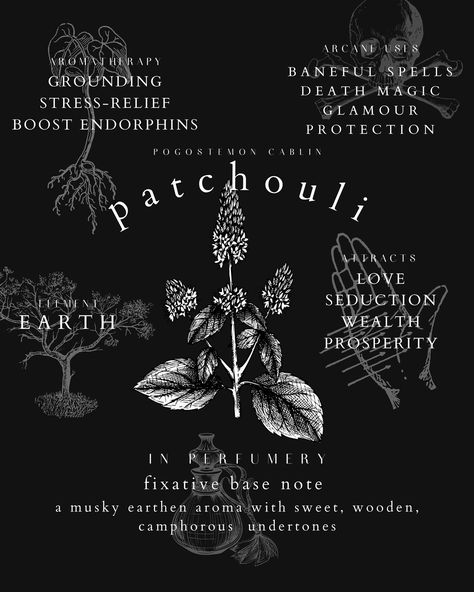 ❝Why are you so obsessed with me?❞—if patchouli could have a catchphrase, this might be it! Native to the hot & humid climate of Southeast Asia, this fragrant herb, with its divisive, pungent aroma, has experienced a mercurial series of rises and falls over its centuries of importation, leaving nary a nose indifferent.A fun except from an antique perfume album of ours tells a story about the powerful effect of the scent of patchouli: ❝There is an actual scientific record of a certain young w... So Obsessed With Me, Holistic Remedies, Antique Perfume, Natural Perfume, Hot And Humid, Obsessed With Me, Catch Phrase, Southeast Asia, Nativity