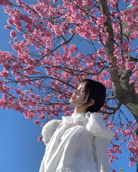 Cherry Blossom Photoshoot, Image Aesthetic, Cherry Blossom Pictures, Cherry Blossom Japan, Spring Photoshoot, Stylish Photo Pose, My Posts, Cherry Blossom Tree, Cinematic Photography