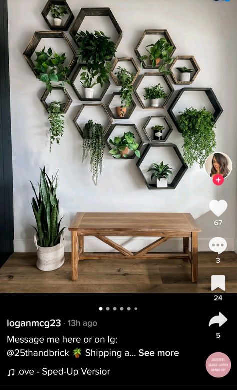 Office Wall Plants Ideas, Greenery Wall Kitchen, Plant Decor On Wall, Plant And Photo Wall, Plant Feature Wall Indoor, Plant And Art Wall, Wall Shelves With Plants, Propagating Plants Wall, Plants Against Wall