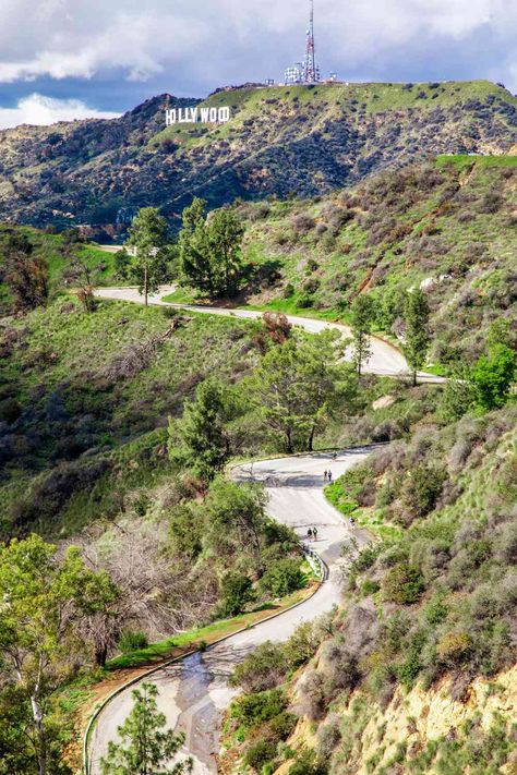 Hiking Los Angeles Aesthetic, Griffith Park Los Angeles, Los Angeles To Do, Griffith Park Hike, Wallpaper California, Life In Los Angeles, Highland Park Los Angeles, Los Angeles Travel Guide, Hikes In Los Angeles