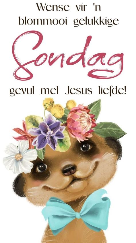 Goeie More Sondag Wense Afrikaans, Sondag Groete Afrikaans, Goeie More Sondag, Sondag Wense Afrikaans, Sondag Boodskappies, Good Friday Images, Friday Images, Good Morning Beautiful Gif, Frog Pictures