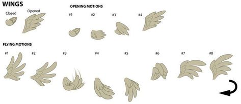 Wing Flapping Animation, Wings Flapping Animation, Mlp Animation Base, Wing Animation, Wings Animation, Mlp Wings, Pony Creator, Learn Animation, Mlp Base