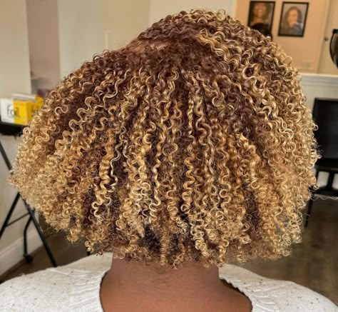 Blonde 4b Hair, Honey Blonde Natural Hair Black Women, Blonde Natural Hair Black Women, Honey Blonde Afro, Natural Hair Highlights, Blonde Natural Hair, Highlights Curly Hair, Natural Hair Tutorials, Dyed Hair Inspiration