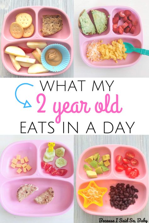 Toddler Meal Ideas and Feeding Schedule for a 2 Year Old | Need some easy toddler meal ideas? We've got you covered with simple ideas for breakfast, lunch, dinner, and snacks (morning and afternoon snacks). Learn the optimal toddler feeding schedule plus how much and when your toddler should eat throughout the day! #toddler #feeding #meal #ideas #breakfast #snacks #lunch #dinner #easy #healthy #routine #schedule Toddler Meal Ideas, Easy Toddler Meals, Toddler Dinner, Healthy Toddler Snacks, Picky Toddler, Toddler Breakfast, Baby & Toddler Food, Toddler Lunches, Healthy Toddler Meals