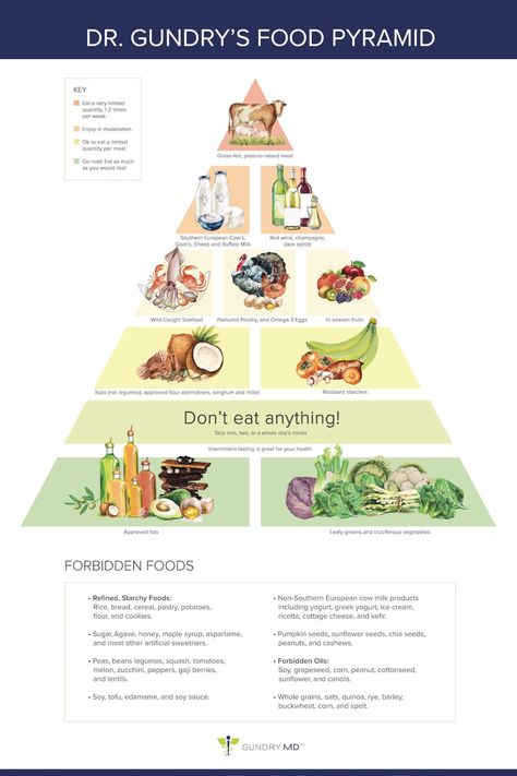 Dr. Gundry's New Food Pyramid for Vitality ("The Plant Paradox" diet) Plant Paradox Food List, Keto Food Pyramid, Lectin Free Foods, Plant Paradox Diet, Lectin Free Diet, Dr Gundry, Plant Paradox, Detox Diet Plan, Food Pyramid