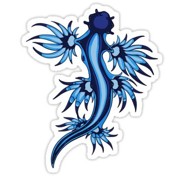 "Exotic Nudibranch Glaucus Atlanticus Blue and White " Stickers by Inklingsofgrace | Redbubble Blue Dragon Tattoo, Glaucus Atlanticus, Rare Tattoos, Men Tattoos Arm Sleeve, Monster Stickers, Buy Stickers, Black And White Stickers, Sea Slug, Blue Dragon