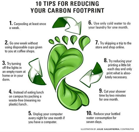 Footprint Poster, Environmentally Friendly Living, Reducing Carbon Footprint, Sustainable Tourism, Eco Friendly Travel, Carbon Dioxide, Eco Friendly Living, Sustainable Lifestyle, Save Earth