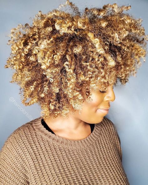 Springing into lewks @haircolorkilla 😍🔥💕 Full highlight with @redken flashlift and 10 volume, base color fusion 6n 20 volume. Wash and go with my new cant live without favorite product @moroccanoil Curl defining mousse! . Curly Blonde Hairstyles, Long Blonde Curly Hair, Natural Hair Highlights, Blond Hairstyles, Blonde Afro, Blonde Natural Hair, Hair Black Women, Highlights Curly Hair, Tapered Natural Hair