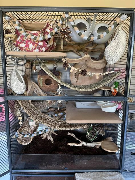 Pet Rat Cages Aesthetic, Critter Nation Rat Cage Ideas, Critter Nation Cage Ideas Pet Rats, Rat Hammock Sewing Pattern, Naturalistic Rat Cage, Rat Cage Inspiration, Rats Cage Ideas, Degu Cage Ideas, Rat Cage Ideas Aesthetic