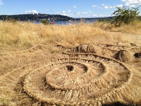 Braided grass in Magnuson Park, Seattle (The Grackle) Slow Art, Dos And Don'ts, Spice It Up, Cleaning Cloths, Earth Art, Reduce Reuse Recycle, Old Shirts, Reduce Reuse, Reuse Recycle