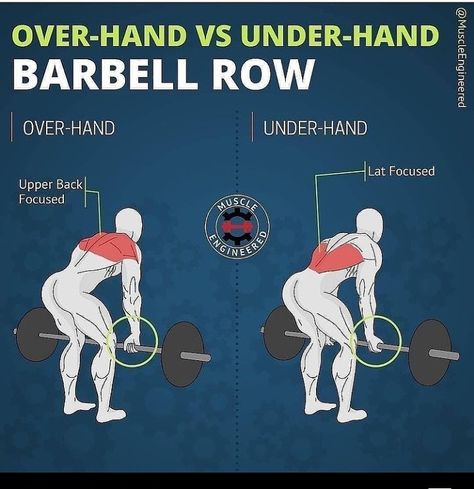 Workout Structure, Bent Over Row, Back Workout Routine, Workout Gym Routine, Barbell Row, Lifestyle Hacks, Gym Workout Planner, Bodybuilding Workout Plan, Gym Workout Chart