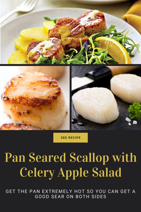 Gordon Ramsay Seared Scallop fish dinner recipe in your kitchen. You’ll first want to get the pan extremely hot so you can get a good sear on both sides. The key is to have all your ingredients ready because once Scallops hit the pan it all moves very fast.  #gordonramsayrecipes #gordonramsayrecipesfish #scallopsrecipe #howtocookscallopsrecipes #appetizersseafood #cookingscallops #scallopssalad Risotto Dinner, Scallop Appetizer, Scallop Recipe, Seafood Scallops, Gordon Ramsey Recipes, Scallops Salad, How To Cook Scallops, Gordon Ramsay Recipe, Gourmet Food Plating