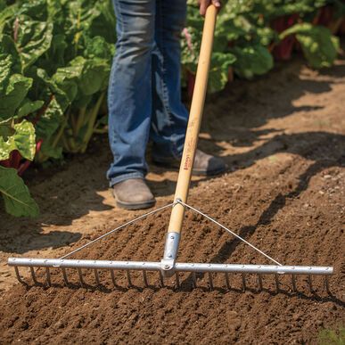 Harvesting Tools, Garden Rake, Farm Tools, Backyard Farming, Soil Health, Soil Improvement, Bedding Plants, Gardening For Beginners, Garden Beds