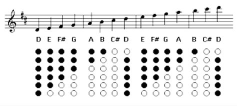 Tin Whistle Notes, Whistle Notes, Notes Key, Instrument Music, Tin Whistle, Learn Music, Bright Ideas, Flutes, Musical Instruments