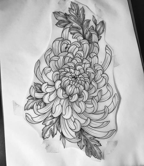 Japanese Flower Tattoo, Tattoo Floral, Chrysanthemum Tattoo, Clever Tattoos, Muster Tattoos, Floral Tattoo Sleeve, Knee Tattoo, Subtle Tattoos, Baby Tattoos