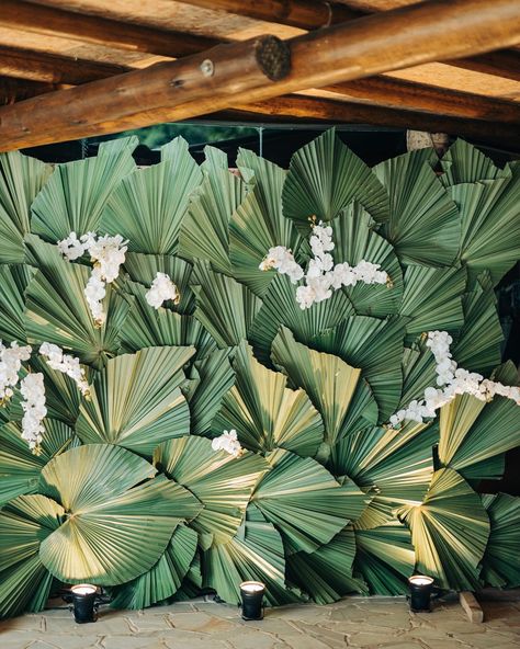 Banana Leaf Stage Decoration, Jungle Event Decor, Events Decoration Ideas, Banana Leaf Backdrop, Palm Leaves Backdrop, Tropical Leaves Backdrop, Event Decoration Ideas, Garden Party Wedding Theme, Event Decorating Ideas