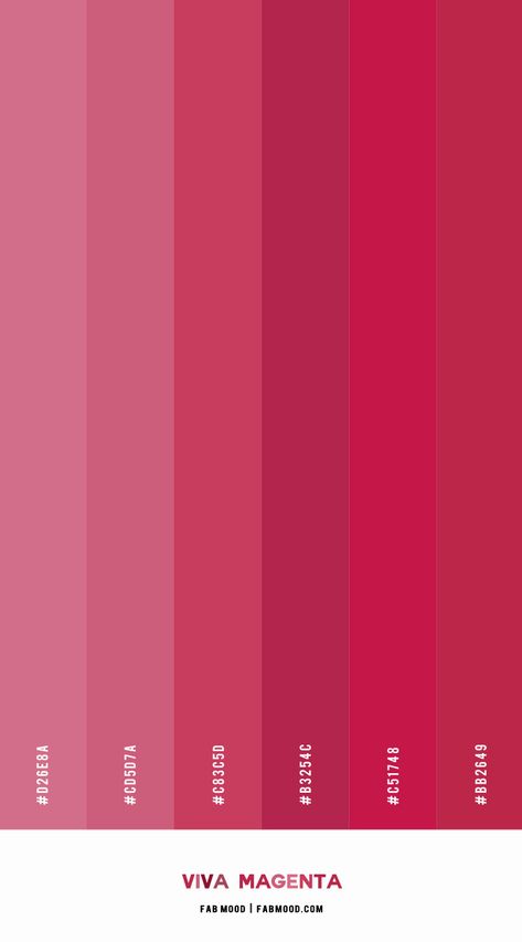 Magenta Colour Palette, Magenta Pallete, Pantone Magenta 2023, Viva Magenta Color Combination, Magenta Palette, Viva Magenta Pantone 2023 Wedding, Magenta Branding, Magenta Pantone Colour Palettes, Pantone Viva Magenta 2023