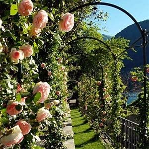 Relais Regina Toledia - Lake Como Orchard Garden, Rose Arbor, Garden Arches, Charming Garden, Climbing Roses, Garden Pool, Backyard Projects, Garden Trellis, Gorgeous Gardens