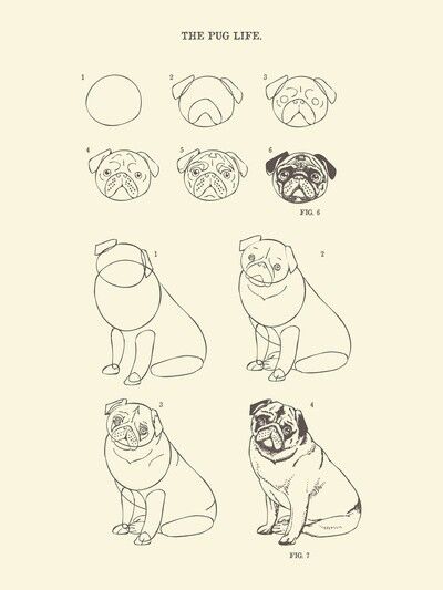 Pug Pug Art Print, Pug Dogs, Pug Art, 강아지 그림, The Pug, Arte Inspo, Cute Pugs, Huebucket, Pug Love