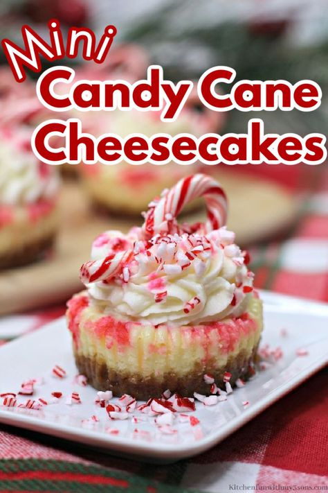 Everybody is getting ready for Christmas and with how hectic the year has been, we could all use a fresh new dessert to try. This Mini Candy Cane Cheesecake will be a great dish to share with your friends and family. With how amazing this dessert is, it may become a favorite in your household. Christmas Mini Cheesecakes, Christmas Cheesecake Bites, Cotton Candy Cheesecake, Mini Cheesecake Tarts, Candy Cane Cheesecake, Candy Cheesecake, Christmas Cheesecake Recipes, Mini Cheesecake Bites, Xmas Baking