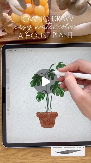 Julia Dreams | illustrator on Instagram: "Easy Watercolor: Let’s Draw a House Plant 🪴 

#procreatebrushes #procreate #digitalwatercolor #reels #ipad #digitalsketches #drawingreels #drawingprocess #artreels #dailydrawing #illustrator #procreatedrawing #procreatebrushset #artvideo #artist #procreatetutorial #watercolorartist #watercolorsketch #ipaddrawing #drawingtutorial #drawingvideo #watercolor #procreateillustration #procreateapp #procreatetips #drawingoftheday #drawingprocess #digitalart #procreateart" Ipad Drawings, Art Video, Easy Watercolor, Draw Something, House Plant, A House, Easy Drawings, House Plants, Illustrator