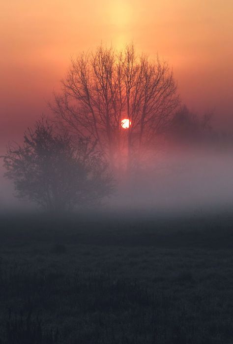 spring morning fog by Denny Bitte Thanks for all the love!!! From @dennybitte on Tumblr (reblogged by @isleofskye) Sunrise Spring, Red Sky At Morning, Morning Fog, Spring Morning, Scenery Pictures, Foggy Morning, Red Sky, Landscape Photos, Beauty Photography